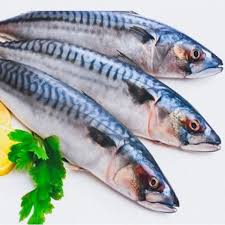 سمك مكريل سوبر 10 ك  