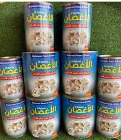 مشروم الاغصان 800 جم   