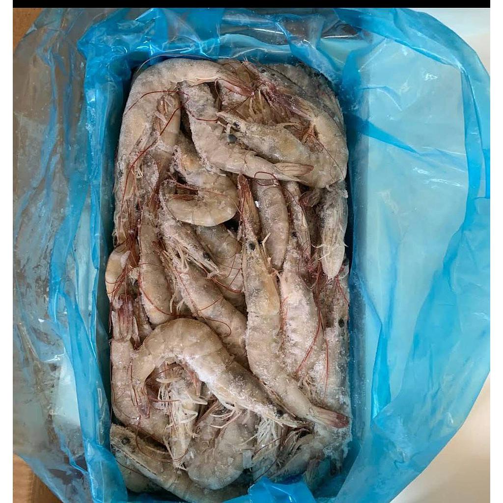 جمبري بقشر 2 ك 50/60 