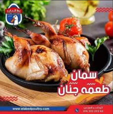 سمان 2 قطعة العابد