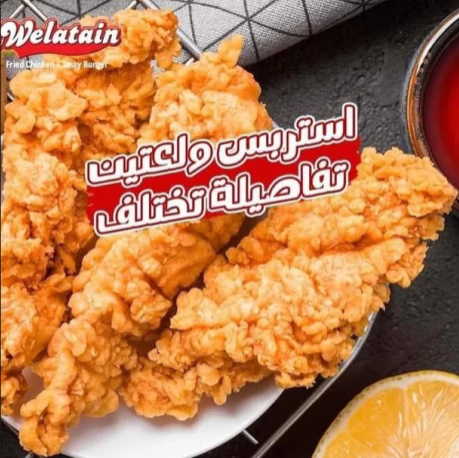  بانية بارد سكالوب ولعتين 1ك